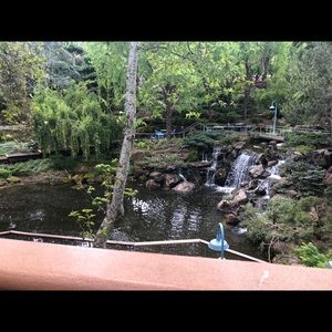 Meet your Posher, Edith